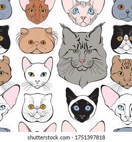  Seamless pattern with cats of different breeds. Hand-drawn vector illustration on white. Animal art background. 