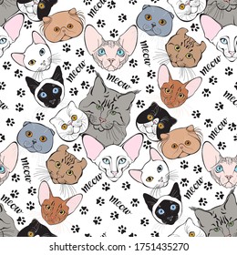  Seamless pattern with cats of different breeds and trace cat feet.  Hand-drawn vector illustration on white. Animal art background. 
