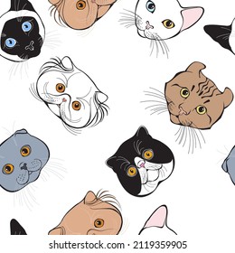 Seamless pattern with cats of different breeds. Hand-drawn vector illustration on white. Animal art background.