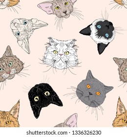 Seamless pattern with cats faces. Vector hand drawn graphic background.