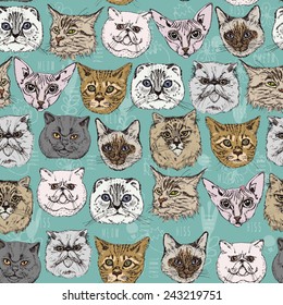 Seamless pattern with cats Siamese, British, Siberian, Persian, Scottish Fold, Maine Coon, Bengal, Sphynx in doodle hipster style. Vintage vector illustration.