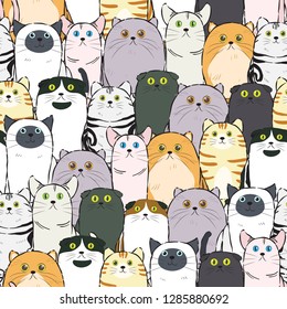 Seamless pattern of cats use as background, wallpaper, card and wrap paper