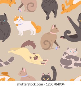 Seamless pattern with cats of various breeds. Backdrop with purebred pet animals in different postures. Colorful vector illustration in flat cartoon style for wrapping paper, textile print, wallpaper.