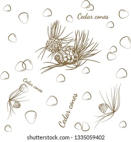Seamless pattern. Cedar cones, cedar needles, nuts, texts, create an ornamental composition. Linear vector drawing of light brown color on a white background makes lightness of the pattern.
