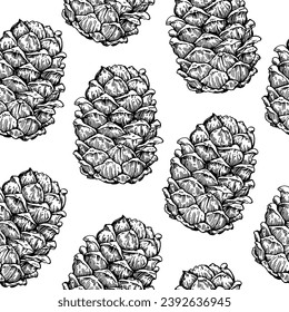 Seamless pattern with cedar pine cone drawing in enagraving style. Hand drawn vector illustration.