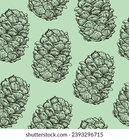 Seamless pattern with cedar pine cone drawing in enagraving style. Hand drawn vector illustration.