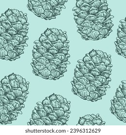 Seamless pattern with cedar pine cone drawing in enagraving style. Hand drawn vector illustration.