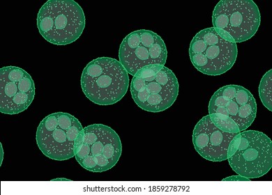 seamless pattern - cells or unicellular