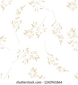 Seamless pattern of cereal plants. Spikelets with grain on a white background.