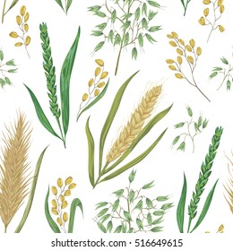 Seamless pattern with cereals. Barley, wheat, rye, rice and oat. Collection decorative floral design elements. Isolated elements. Vintage vector illustration in watercolor style.