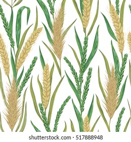 Seamless pattern with cereals. Barley, wheat, rye. Collection decorative floral design elements. Isolated elements. Vintage vector illustration in watercolor style.