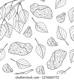 Seamless pattern of Chaga mushroom (Inonotus obliquus). Vector illustration. 