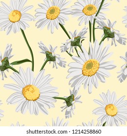 Seamless pattern with chamomile (camomile) flowers on yellow background. 