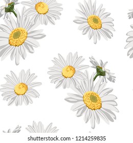 Seamless pattern with chamomile (camomile) flowers on white background. 