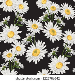 Seamless pattern with chamomile (camomile) flowers on black background. 