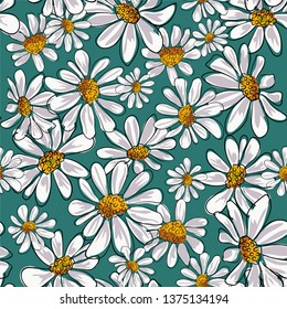 Seamless pattern with chamomile, camomile flowers on white background