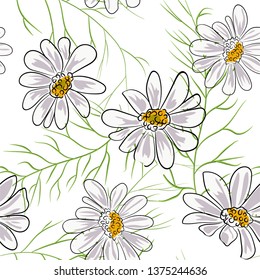 Seamless pattern with chamomile, camomile flowers on white background