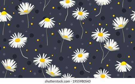 Seamless pattern with chamomile or daisy and dots on dark grey background