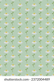 Seamless pattern with Chamomile flowers