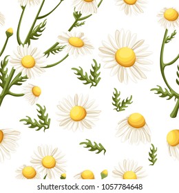 Seamless pattern of Chamomile flowers. Beautiful floral ornament. Vector illustration on white background. Website page and mobile app design.