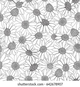 Seamless pattern with Chamomile flowers. Coloring book page for adult and children. Black and white. Doodle style. Vector Chamomile wild field flower.