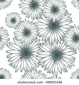 Seamless pattern with chamomile flowers. Medicinal herbs vector