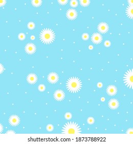 Seamless pattern with chamomile flowers on blue background. Daisy flower vector pattern illusration floral background.