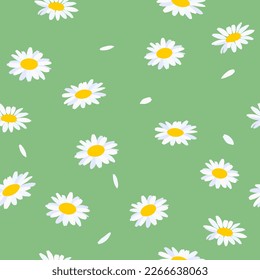 Seamless pattern. Chamomile flowers on a green background.