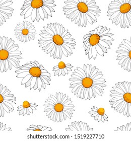 Seamless pattern of chamomile flowers.On white background.Hand drawing Vector illustration.