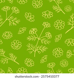 Seamless pattern with chamomile. Hand drawn vector illustration in outline style.