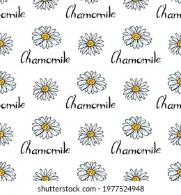 Seamless pattern with chamomile on white background. Vector image.