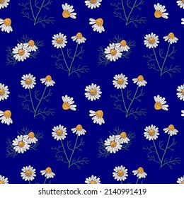 Seamless pattern with chamomile. Vector color illustration.