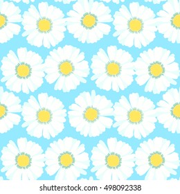 seamless pattern with chamomiles on blue vector illustration