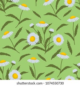 Seamless pattern with chamomiles on a green background. Summer background with flowers and leaves. It can be used for websites, packing of gifts, tiles fabrics backgrounds. Vector illustration.