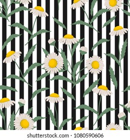 Seamless pattern with chamomiles on a striped background. Summer background with flowers and leaves. It can be used for websites, packing of gifts, fabrics, wallpapers. Vector illustration.
