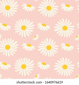 Seamless pattern with chamomiles. Vector illustrations