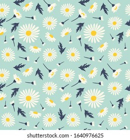 Seamless pattern with chamomiles. Vector illustrations