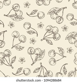 Seamless pattern with cherry: berries and flower. Vector hand drawn illustration