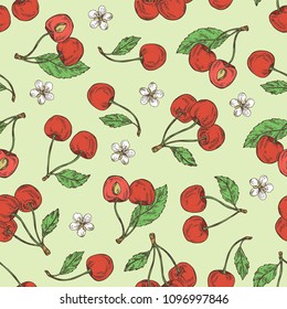 Seamless pattern with cherry: berries and flower. Vector hand drawn illustration