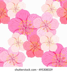 seamless pattern of cherry is blossom and bud vector illustration