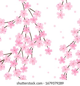 Seamless pattern of cherry blossom on white background vector illustration. Sakura Japanese flower. 