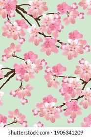 Seamless pattern of Cherry blossom or Sakura flower on green background template. Vector set of floral element for wedding invitations, greeting card, brochure, banners and fashion design.