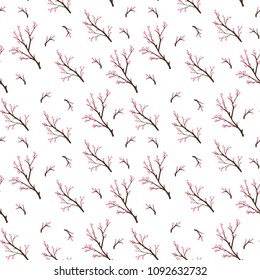 Seamless pattern with cherry blossoms. Flowers and twigs. Vector illustration.