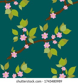 seamless pattern of cherry blossoms on a turquoise background