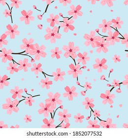 Seamless pattern with cherry blossoms on blue background, vector illustration. Japanese Sakura flowers.