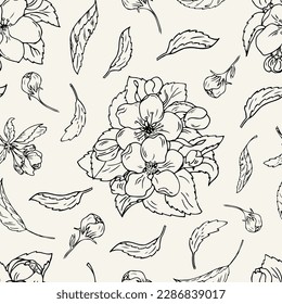 Seamless pattern of cherry flowers. Cherry or apple flowers and leaves. Vector hand drawn botanical background for textile