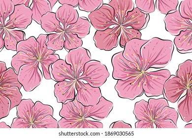 Seamless pattern of cherry flowers, color, vector