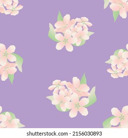 Seamless pattern of cherry tree flowers