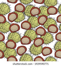 Seamless pattern of chestnuts in shell and without, prickly fruits and nuts on a white background vector illustration