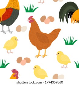 Seamless pattern chicken rooster chickens feed nest eggs grass vector illustration